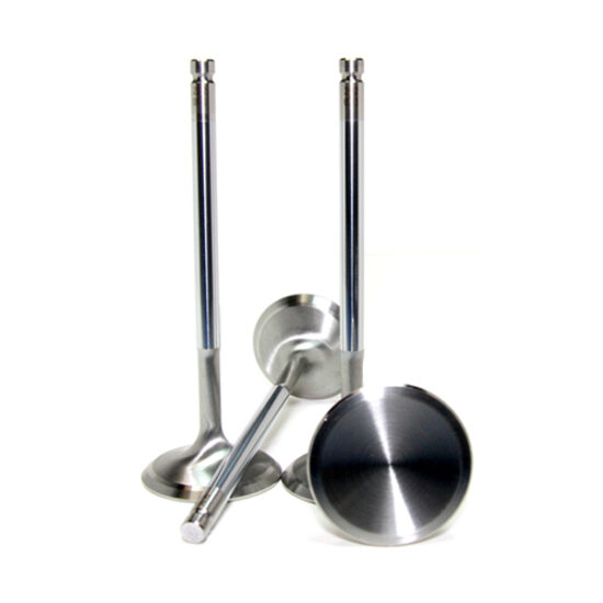 GSC Nitrided Valves Evo 10/RA
