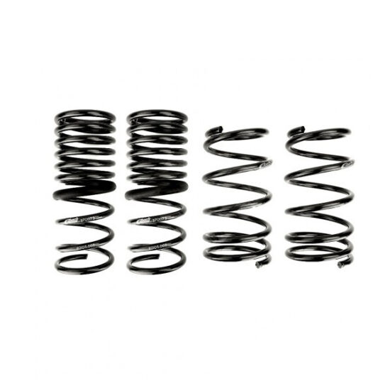 Lowering Springs