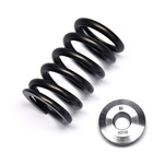 Brian Crower Valve Springs and Retainers Evo 10