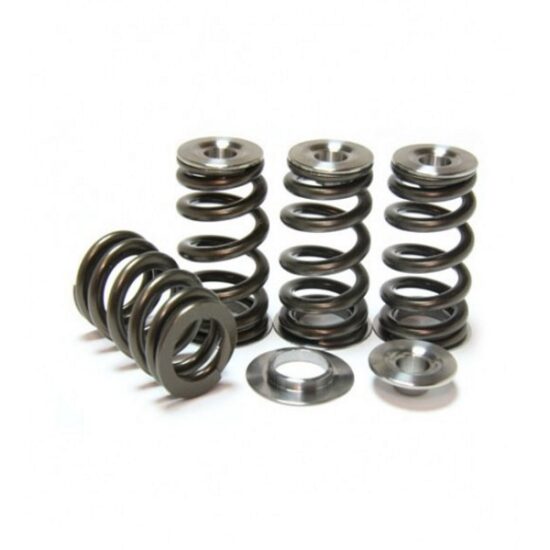 GSC Beehive Springs and Retainers BRZ/86